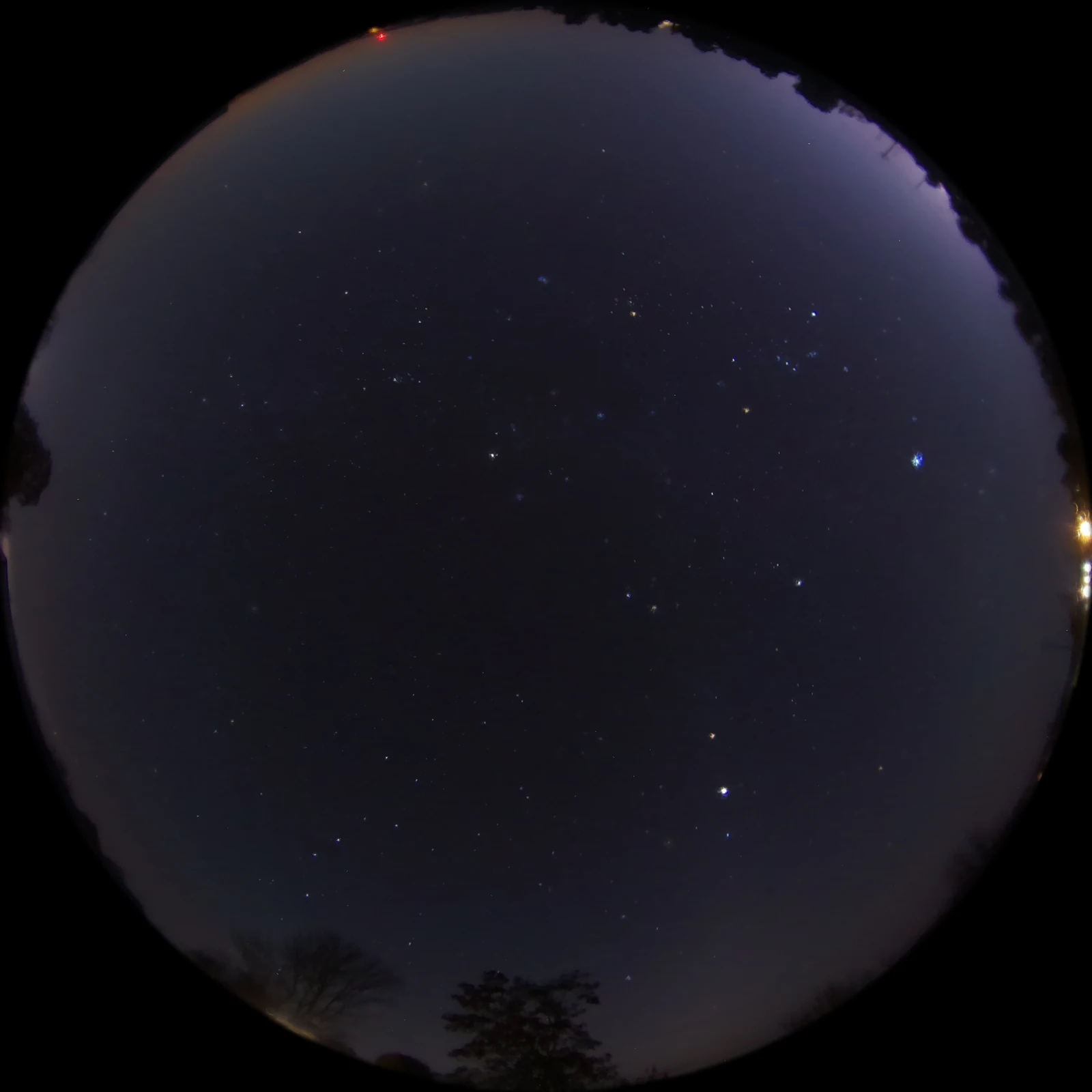 The whole night sky from horizon to horizon: stars over a treeline, from a SkyVault camera